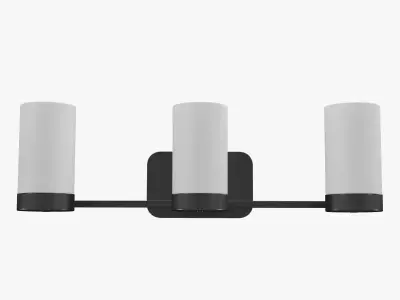 Elevate 3-Light Bath Vanity Wall Light 3D model