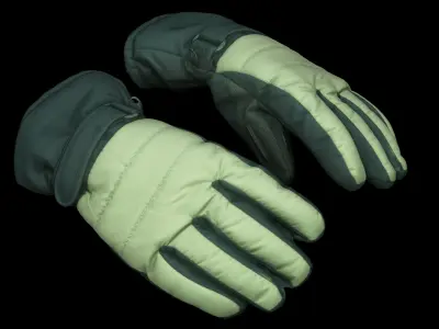  Clothes collection 114 winter gloves 