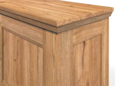 Country Cabinet 2 Door Solid Natural Oak  3D model