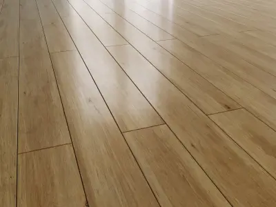 European hornbeam  Carpinus betulus  3D model