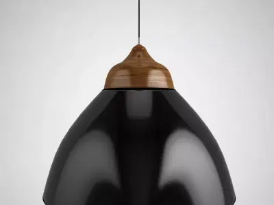 Wood and silk 3D model