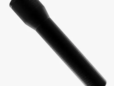 Flash Light 2 3D model