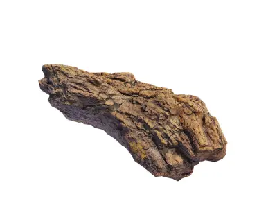 Petrified Wood 1 Low-poly 3D model