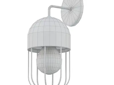 CAPSULE CAGE 3D model