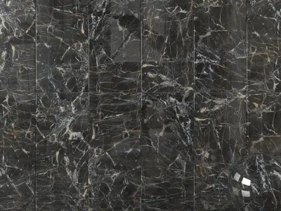 Wall Tiles Museum Laurent Black 60x120 Set 2 Texture