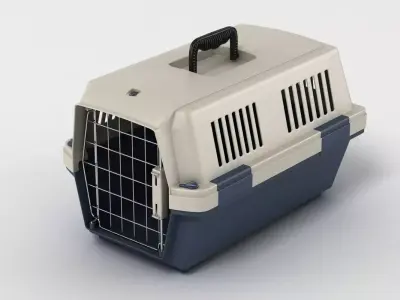 Pet Carrier 3D model