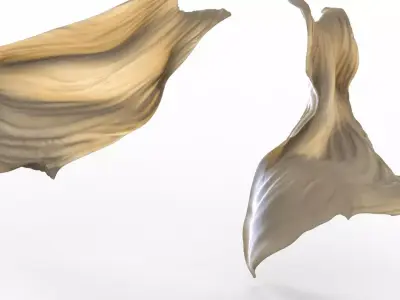 Curtains Fabric in breeze 3D model