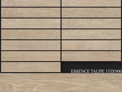 Peronda Essence Taupe 153x900 3D model