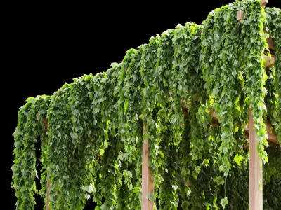 Pergola with grape leaves 3D model