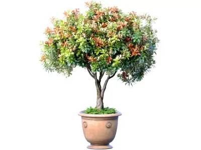 Decorative flowering garden tree in a classic flowerpot 3D model