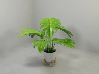 Monstera plant in modern Pot 3D model 3D model