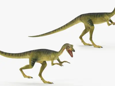  Carnivorous Dinosaurs Rigged for Cinema 4D Collection 2 