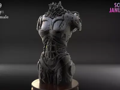 Female Robot Torso Timelapse and Model 3D print model