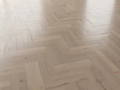 Parquet Oak Vergne Brushed set 2 3D model