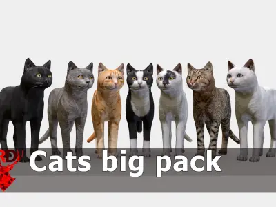  Cat big pack 