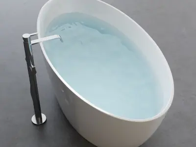 Disenia Lake Bathtub Low-poly 3D model