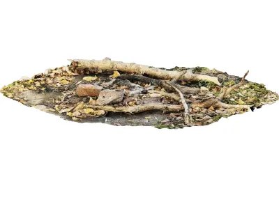 Fire pit 3D model purchase