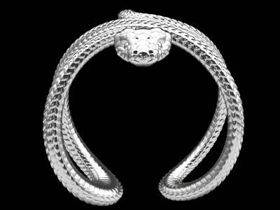 Ring Snake  3D print model
