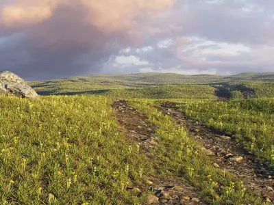 Spring field 3D model