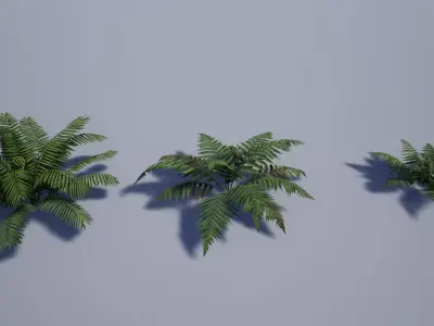 Realistic Tropical Fern Low-poly 3D model