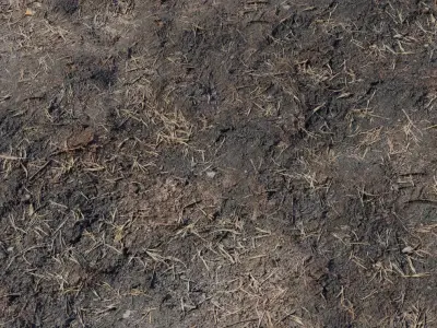 Wet Barnyard Mud with Straw Texture