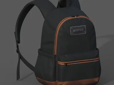 Backpack Camping bag baggage Color 3d low poly  Low-poly 3D model purchase