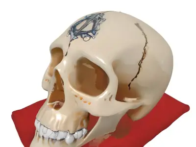 Ornate Stylized Skull with Velvet Pillow Low-poly 3D model