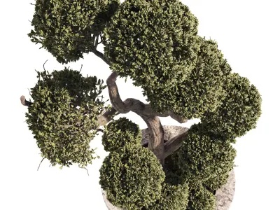 Garden Tree And Bush 01 3D model