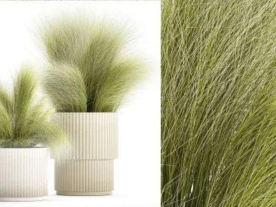 Beautiful Bushes and Stipa Feather Grass flower pot for decor 3D model