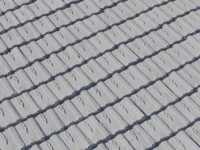 Victorian Clay Shingle Roof  Texture