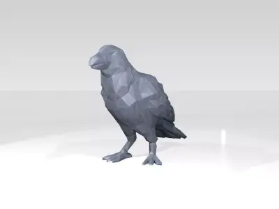 Crow Low Poligonal 3D model