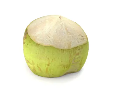 Green Coconut - Photorealistic  Scan Low-poly 3D model