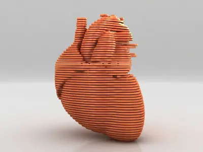 Parametric Human Heart Models 3D model