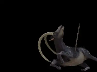 Sable Antelope - Rigged 3D model