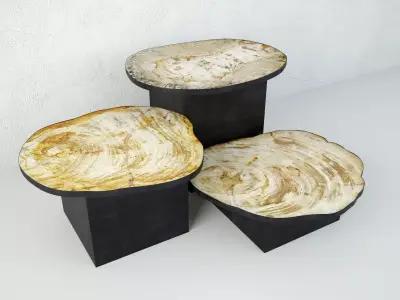 Petrified Wood Slice Coffee Tables 8 3D model