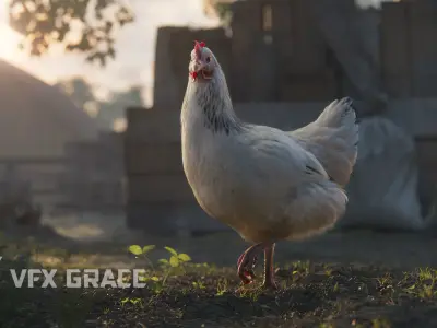 White Hen Animated VFX Grace 3D model