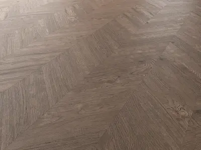  Parquet Oak Missisippi Wild Wood set 4 3D model