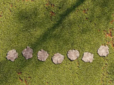 Grass and Pedestrian - PBR - 4K - LowPoly Low-poly 3D model