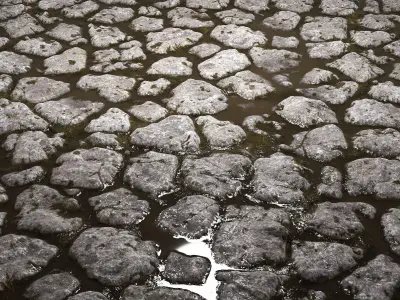 Cobblestones 8K PBR Texture Set Texture