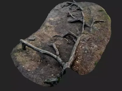 nature forest roots 002 3D model