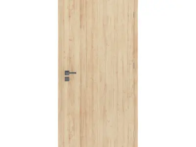 Interior Door 3D model