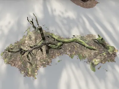 Forest Tree Root E 3D model