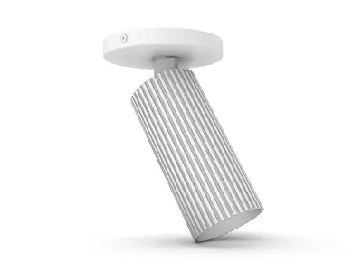Fluted Light Fixtures - Adjustable Spot light and Wall light  3D model