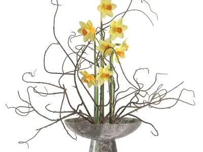 Daffodils Dry Twisted Branch Bouquet 3D model