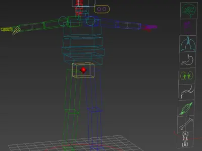  3DS MAX RIGGED Male and Female Anatomy Complete Pack (Textured) 