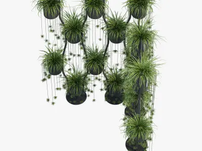 Para vert two 3D model