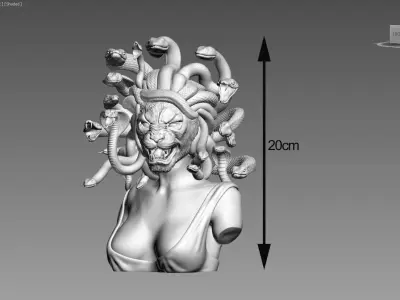 Medusa lion head Cyborg medusa lion 3D print model