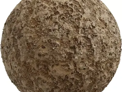 Sandy Mud with Coarse Aggregate Texture