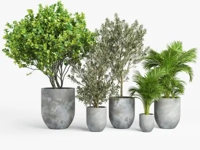 Concrete set tree in pot 3D model