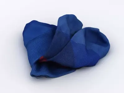 Socks 3D model